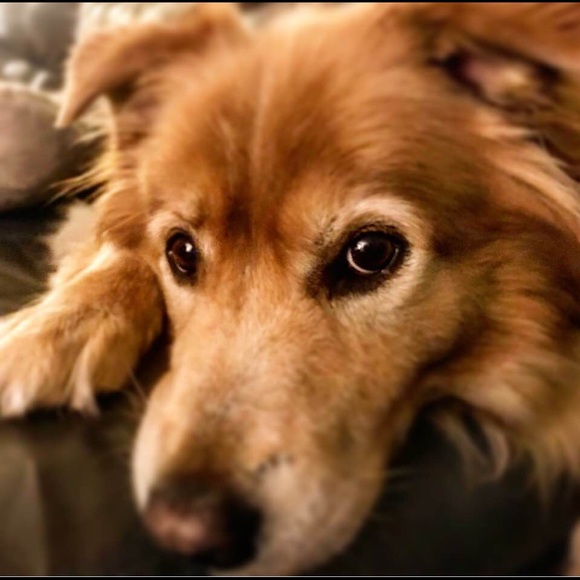 Meet your Posher, Michelle - Picture 1 of 1